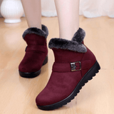 Women's Winter Warm Fur Lining Ankle Boots