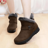 Women's Winter Warm Fur Lining Ankle Boots